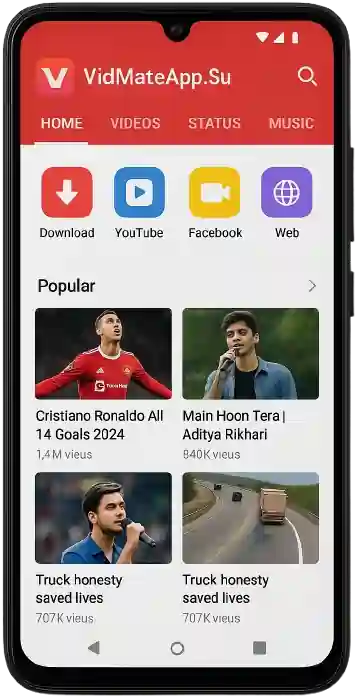 ভিডমেট